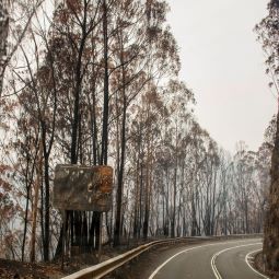 Bushfires